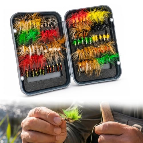 100 Stück Fliegenfischen Set, Fliegenbox und diverse Köder in verschiedenen Farben