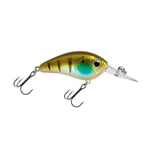 Daiwa Steez Crank 100F-SR, ein bleifreies Crankbait für tiefen Wasserfischfang mit Ghost Gill Design und einer Größe von 54 mm.