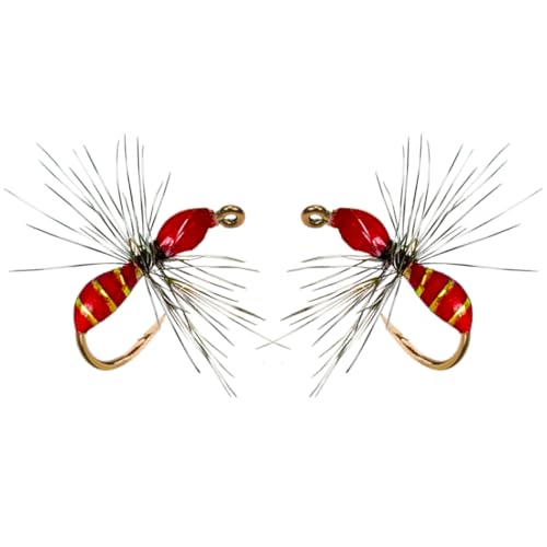 Künstliche Insekten Fische Köder für Fliegenfischen, 20Pcs/Box Fliegenfischer Köder Griffith Midges Bass Lachs Forellen Fliegen Schwarz/Rot, perfekt für professionelle Angler und Anfänger geeignet.