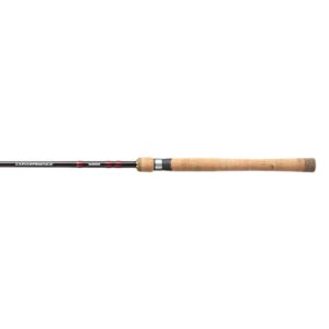 Reiserute von Shimano Exage BX STC mit Tele und Spinning, ideal für Angeln in verschiedenen Fischarten, leicht und robust, Gewicht 10-30g, Länge 2.40m.