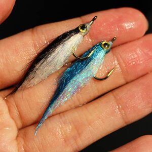 10 Stück UV-polarisierte Fliegen für Fliegenfischen, verschiedene Farben, Größe 8, geeignet für Forelle, Brasse, Barsch und andere Süßwasserarten