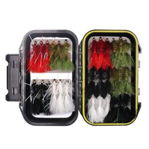 Wooly Bugger Fliegenfischköder Streamer Sortiment in wasserdichter Box, 30 Stück mit verschiedenen Farben und Entenködern für verschiedene Fischarten