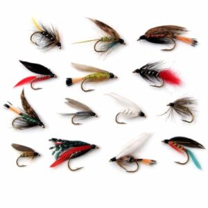 Wet Fliegen für Fliegenfischen - 16 klassische Nassfliegen für Forellenangeln in UK Qualität