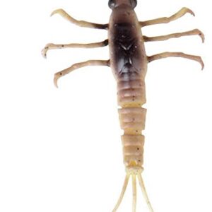Hochwertige 3D TPE Mayfly Nymph von Savage Gear zum Spinnfischen, 5cm lang und 2,5g schwer, mit realistischer Bewegung und scharfen Haken für effektives Fischen